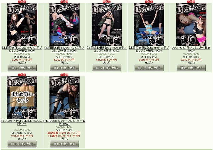 DESTROY女子プロレスラー破壊